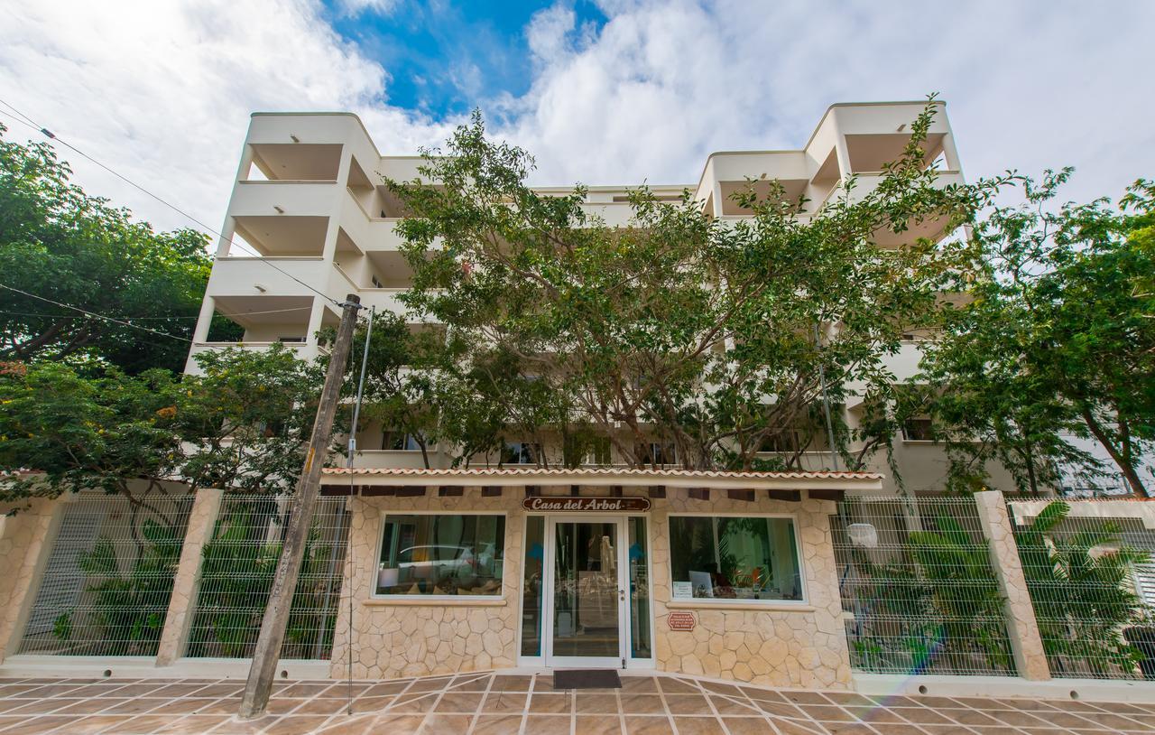 Condo Casa Del Arbol 신데 델 카르멘 객실 사진